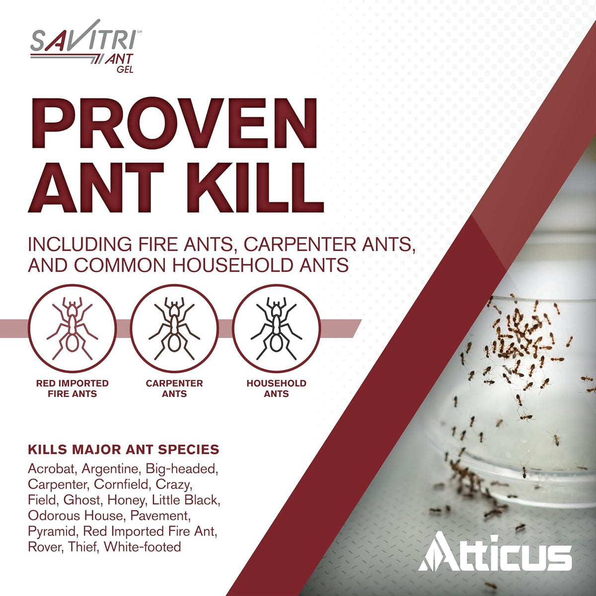 Ant Gel Bait (4 x 30 Grams) M2735