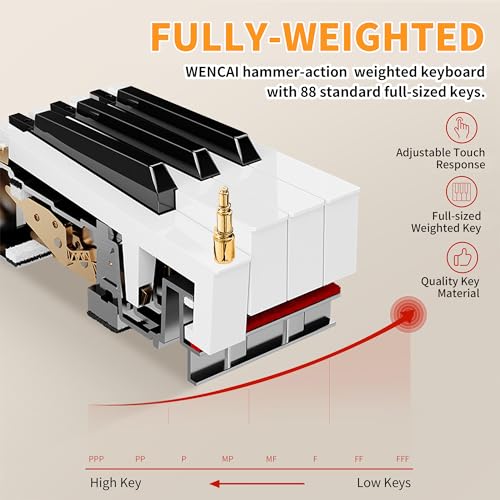 88 Key Fully Weighted Hammer Action Digital Piano Black G797299