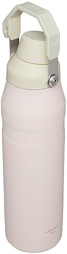 Insulated Stainless Steel Water Bottle 16-50 OZ with Angled Spout Lid W52173