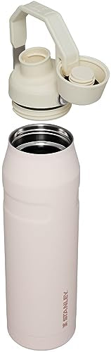 Insulated Stainless Steel Water Bottle 16-50 OZ with Angled Spout Lid W52173