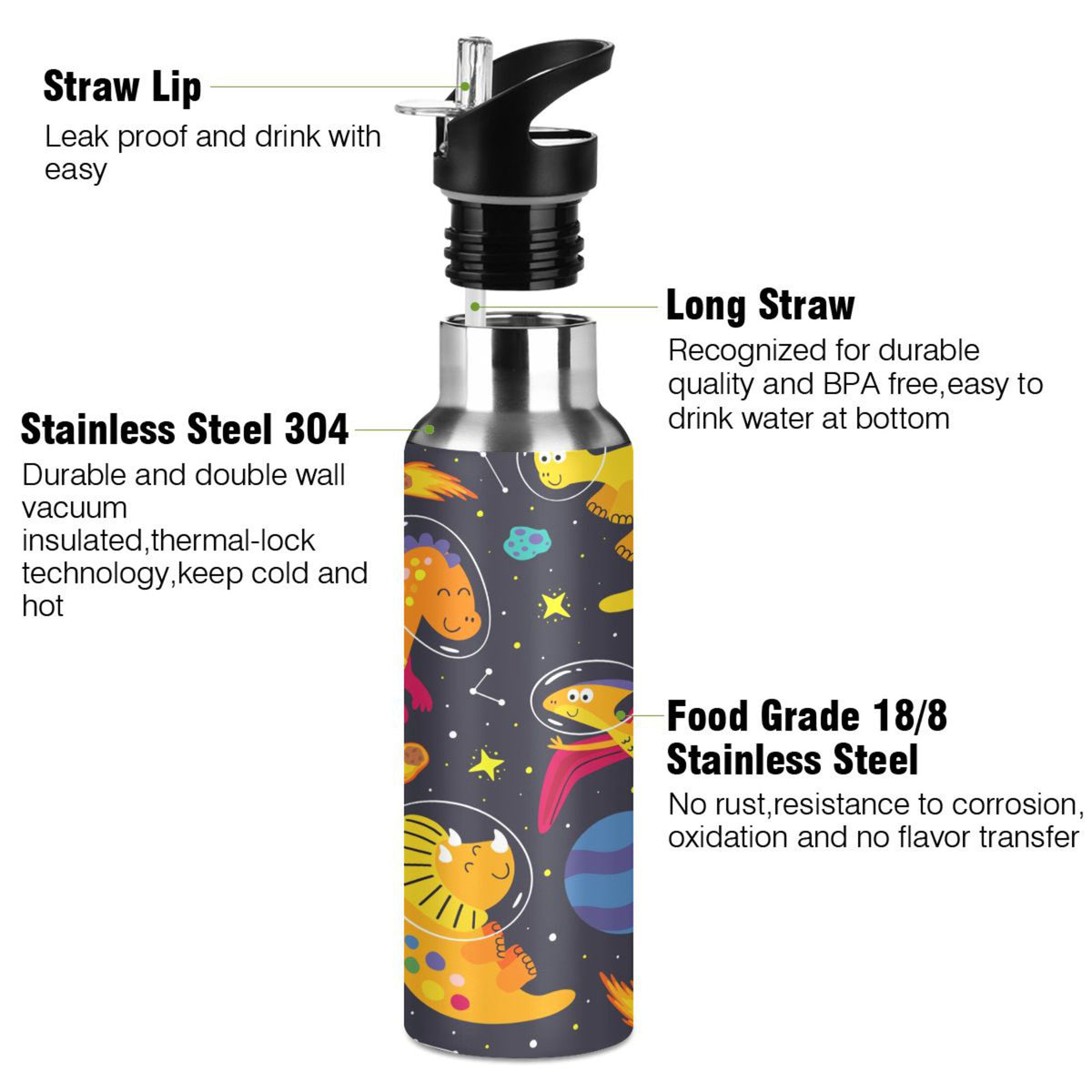 Stainless Steel Vacuum Insulated Water Bottle with Straw Lid 20 OZ F230290