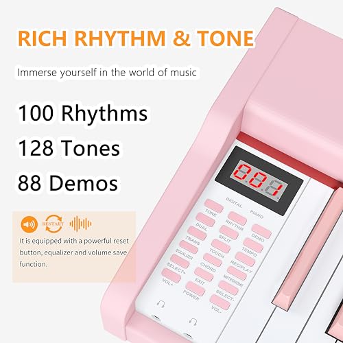 88 Key Fully Weighted Hammer Action Digital Piano Black G797299