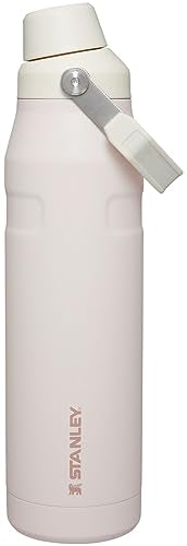 Insulated Stainless Steel Water Bottle 16-50 OZ with Angled Spout Lid W52173