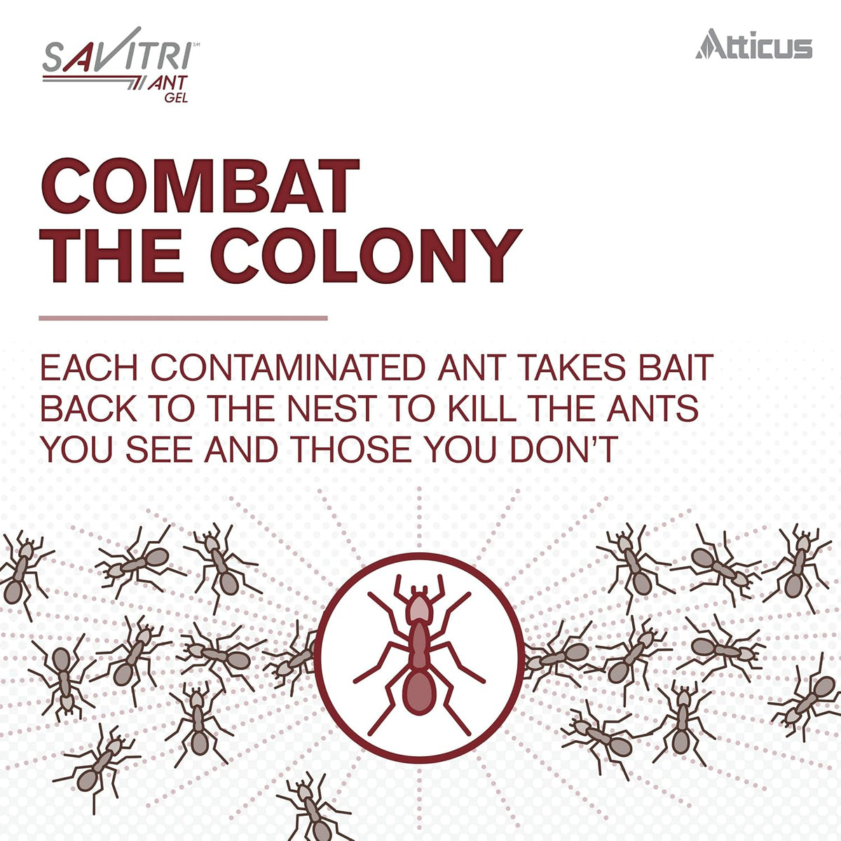 Ant Gel Bait (4 x 30 Grams) M2735