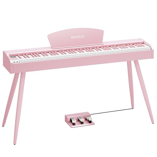 88 Key Fully Weighted Hammer Action Digital Piano Black G797299