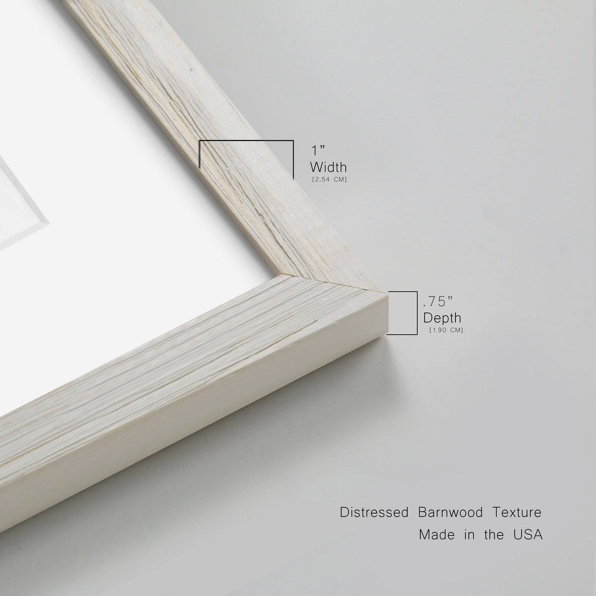 Black Framed Print 20x24 Z95989